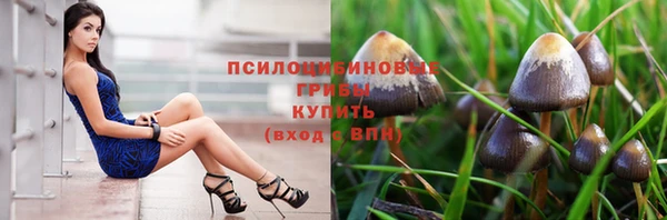 ешки Алексеевка